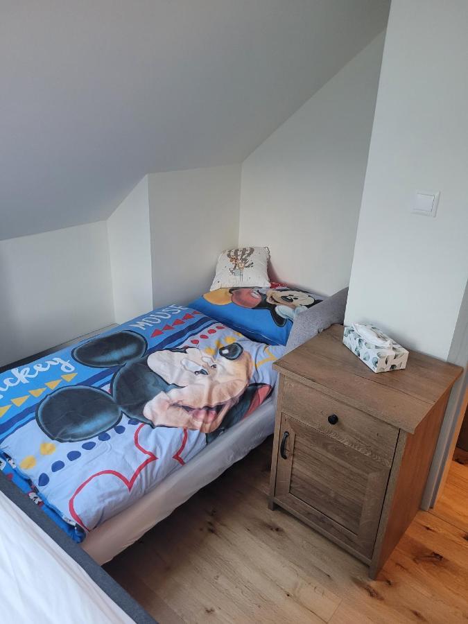 Artur Apartment Myto Mýto pod Ďumbierom Bagian luar foto
